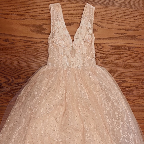 STUNNING Whimsical Flower Embellished Blush Pink Sparkly Lace Gown Dress - Picture 2 of 5